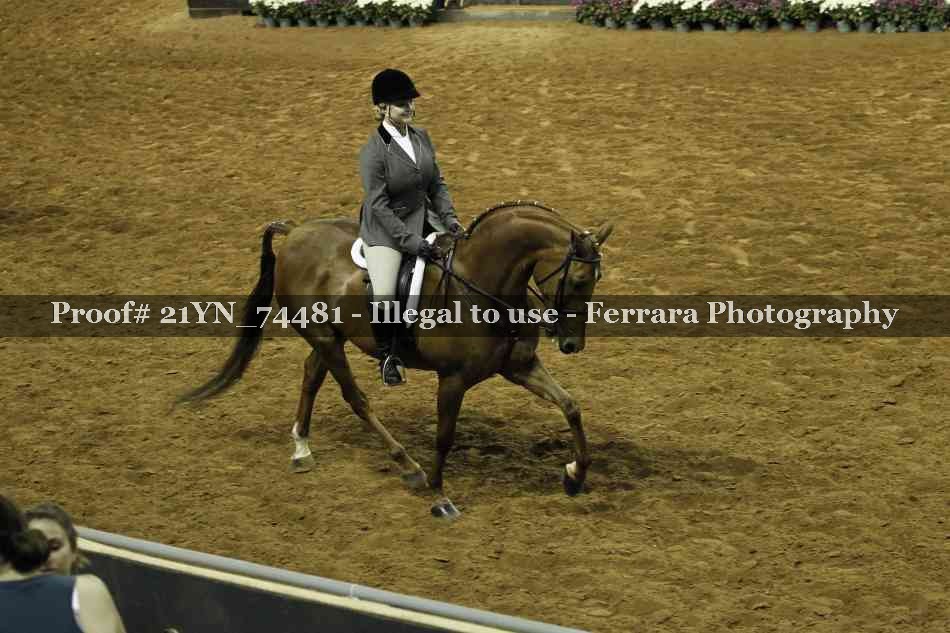 Proof Number 21YN_74481