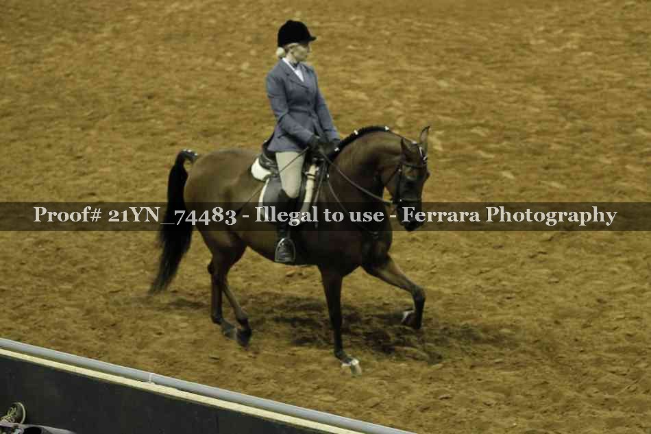 Proof Number 21YN_74483