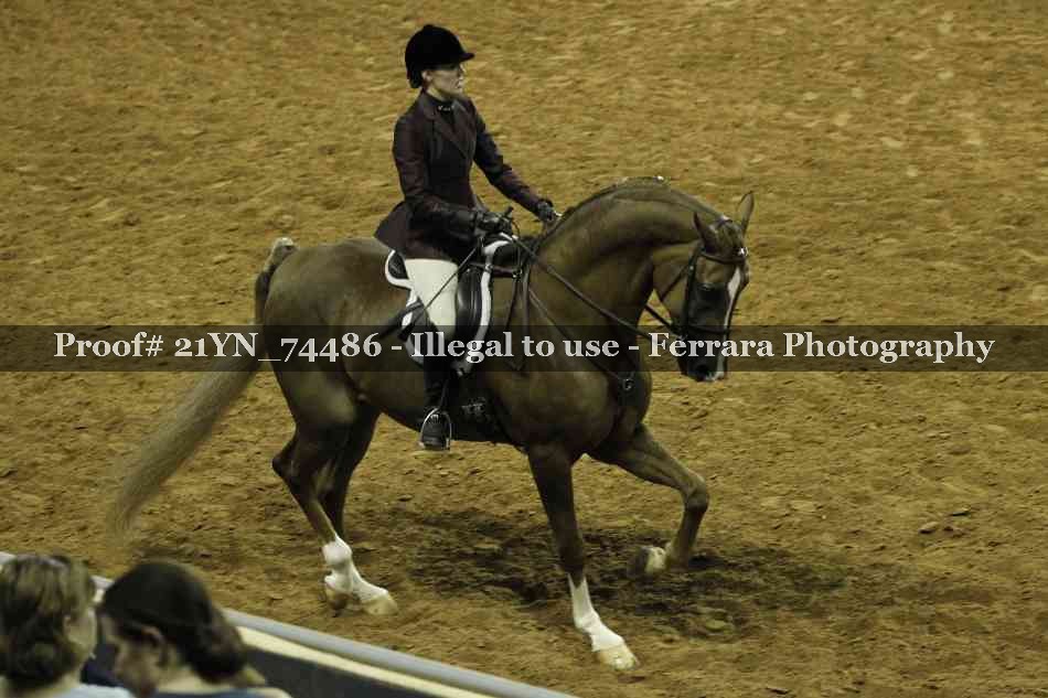 Proof Number 21YN_74486