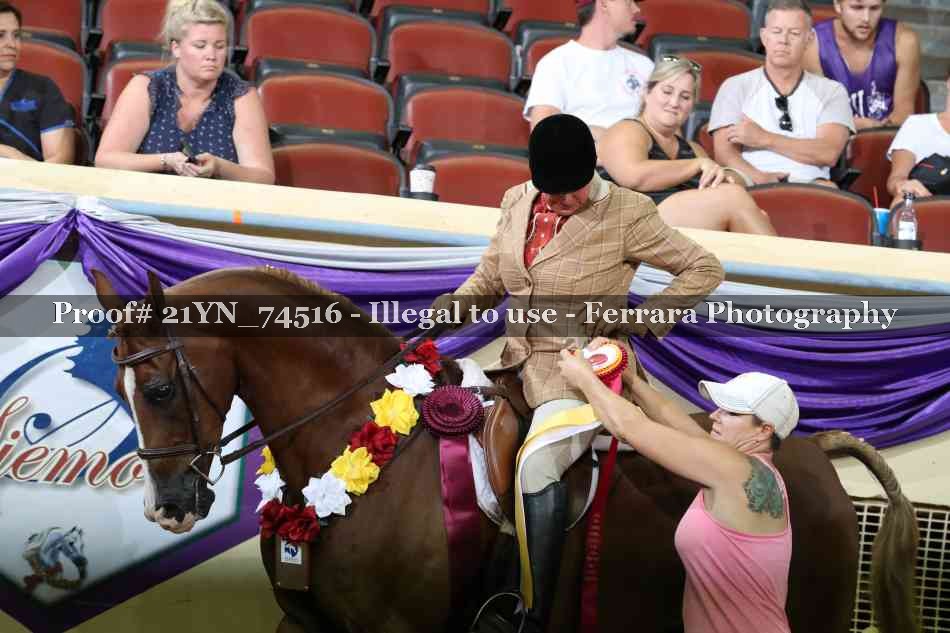 Proof Number 21YN_74516