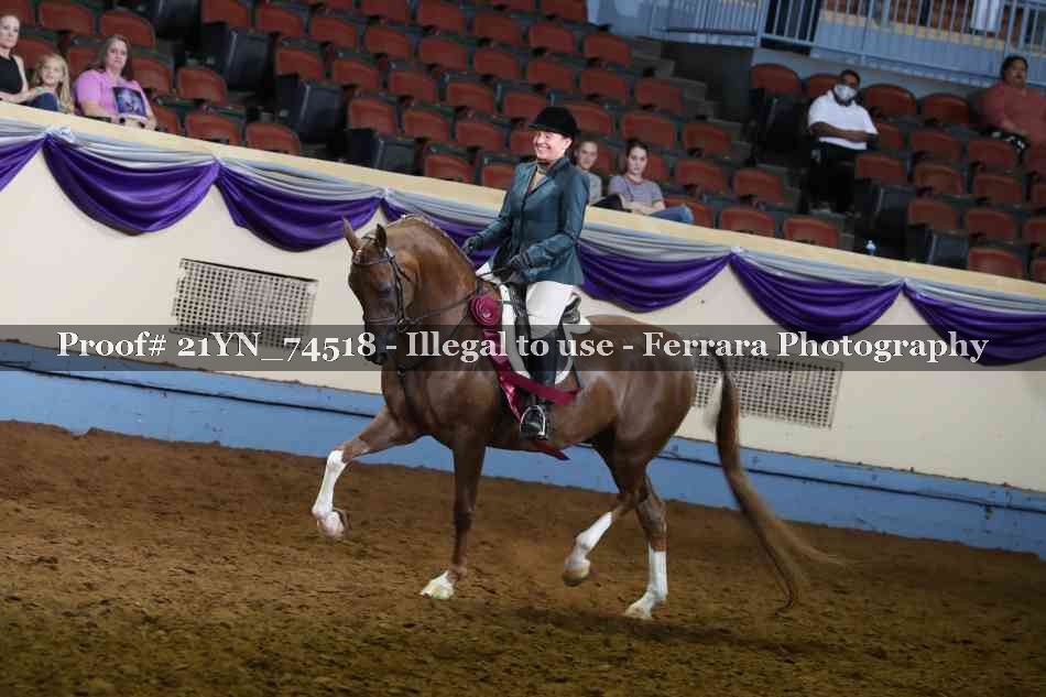 Proof Number 21YN_74518