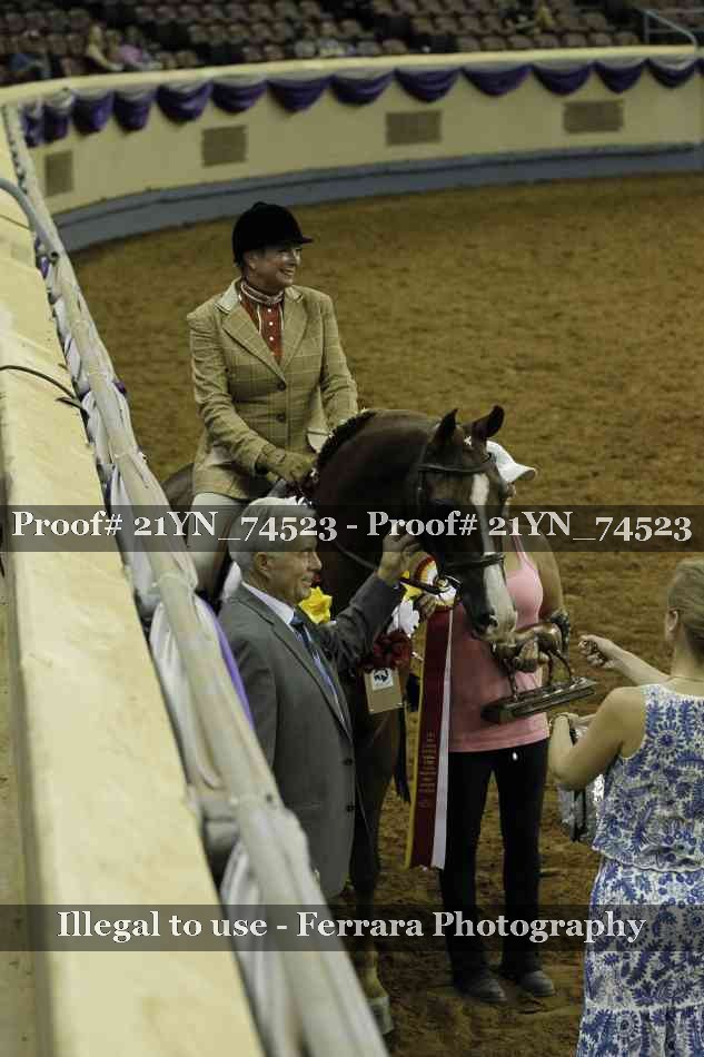 Proof Number 21YN_74523
