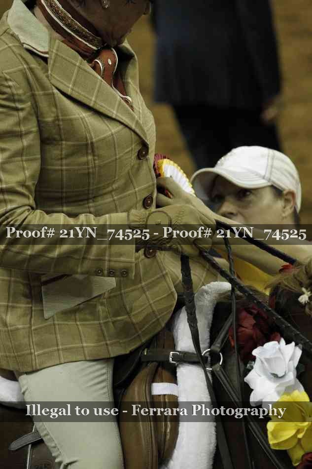 Proof Number 21YN_74525