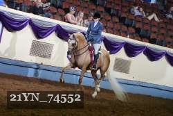21YN_74552 thumbnail