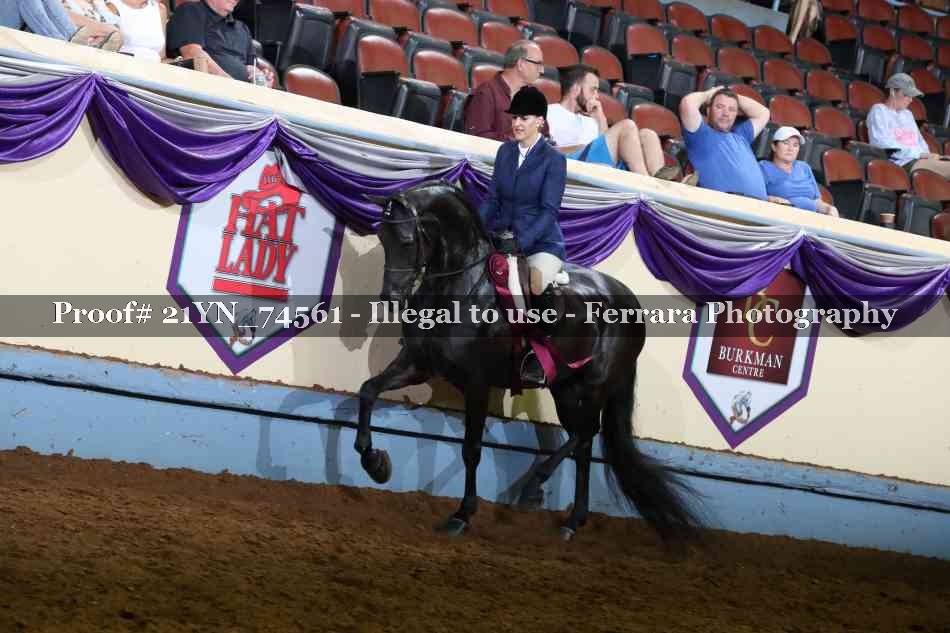 Proof Number 21YN_74561