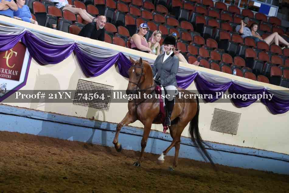 Proof Number 21YN_74564