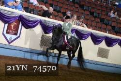 21YN_74570 thumbnail