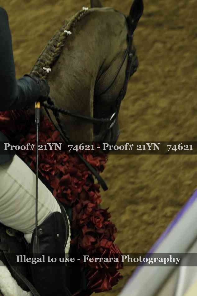 Proof Number 21YN_74621