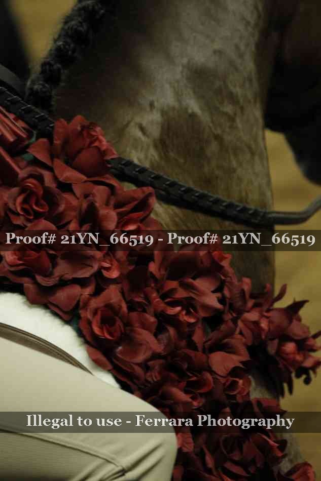 Proof Number 21YN_66519
