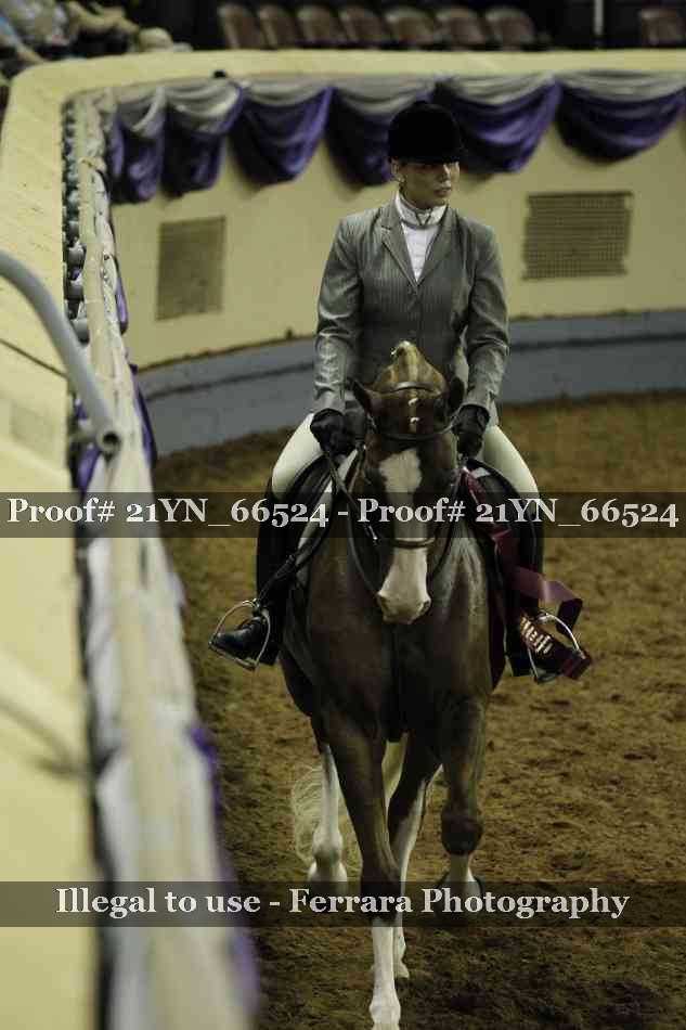 Proof Number 21YN_66524