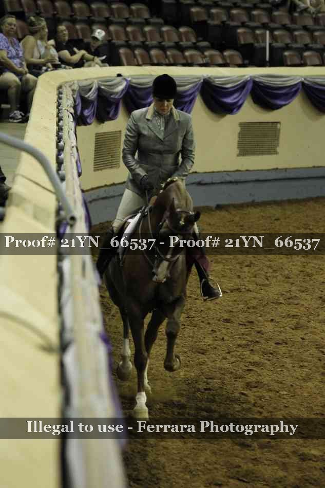 Proof Number 21YN_66537