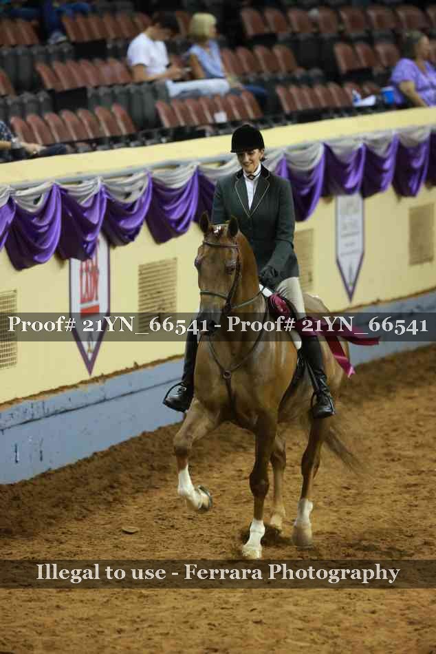 Proof Number 21YN_66541