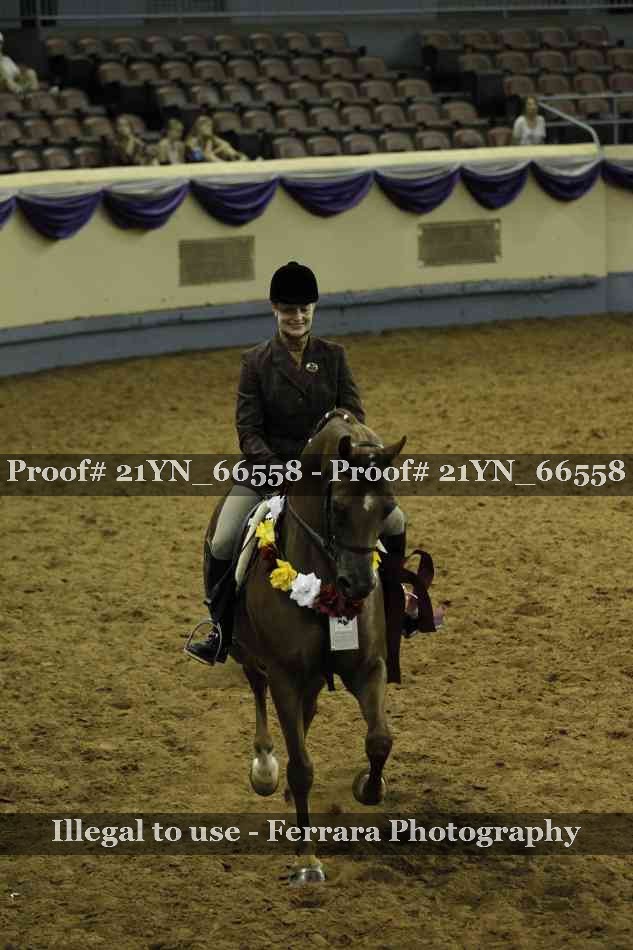 Proof Number 21YN_66558