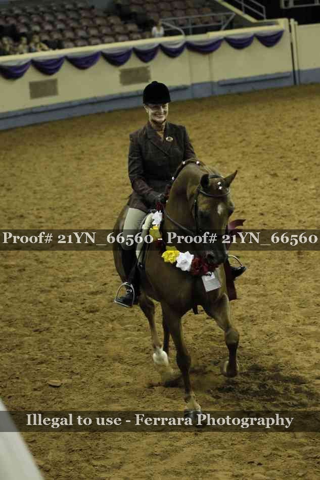 Proof Number 21YN_66560