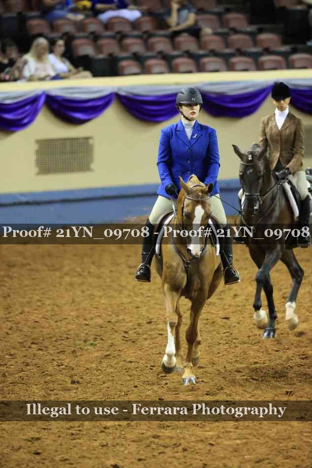 Proof Number 21YN_09708