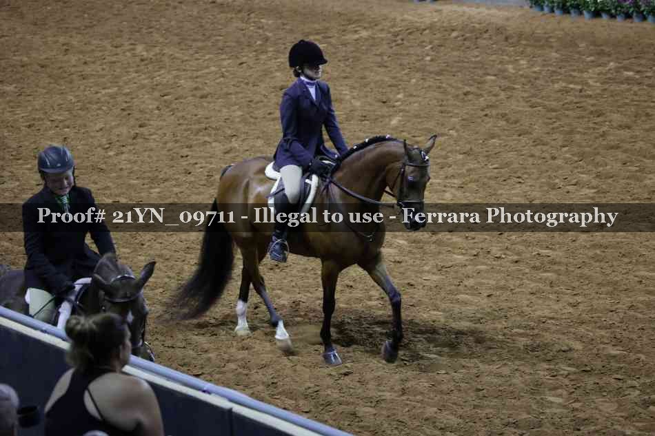Proof Number 21YN_09711