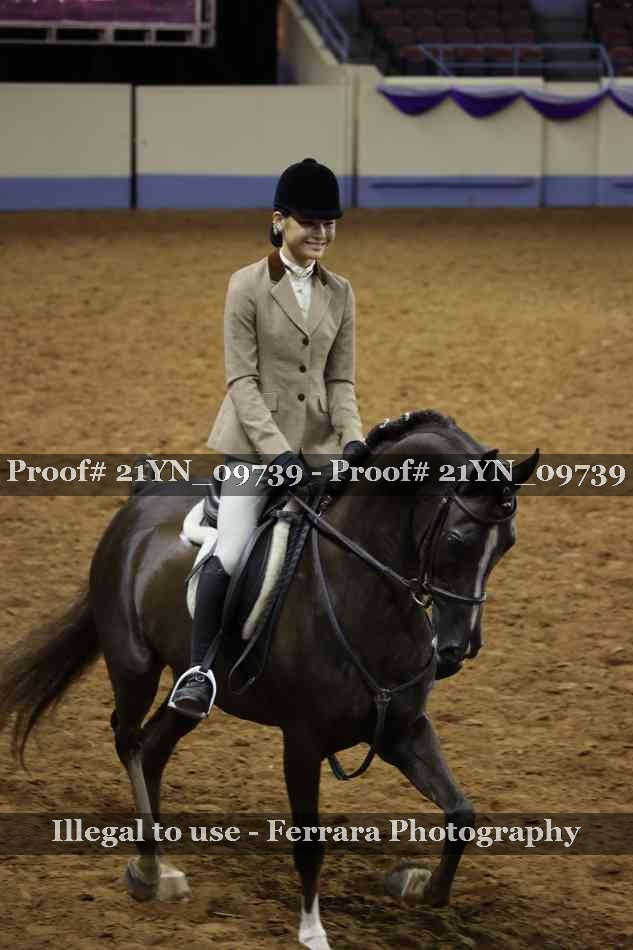 Proof Number 21YN_09739