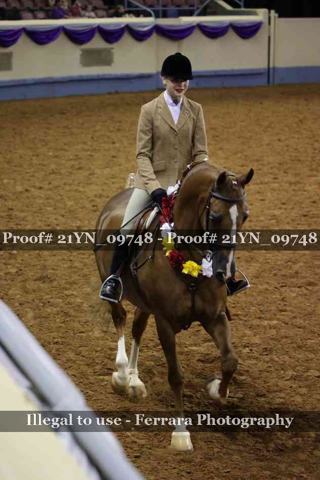 Proof Number 21YN_09748