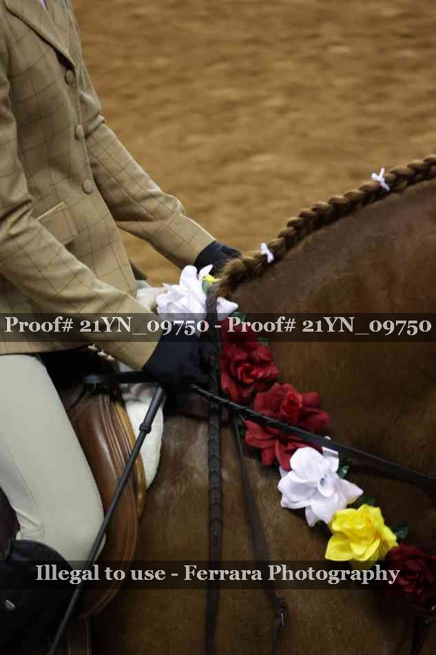 Proof Number 21YN_09750