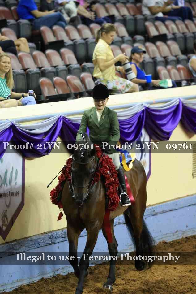 Proof Number 21YN_09761