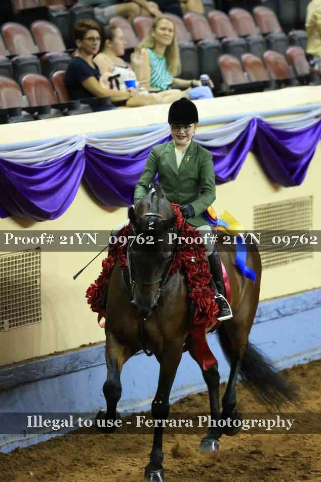 Proof Number 21YN_09762