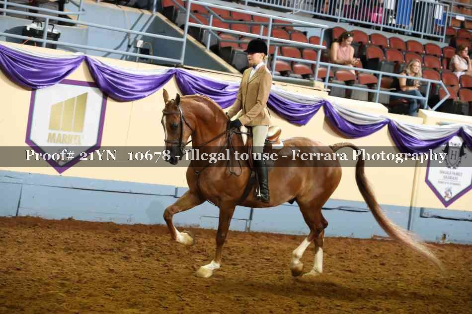 Proof Number 21YN_10678
