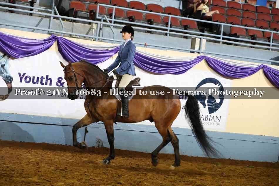 Proof Number 21YN_10683