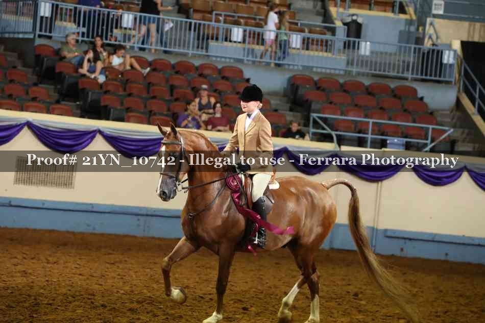 Proof Number 21YN_10742