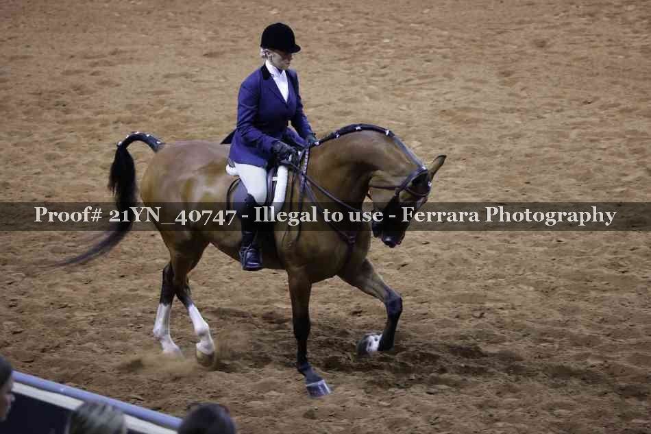 Proof Number 21YN_40747