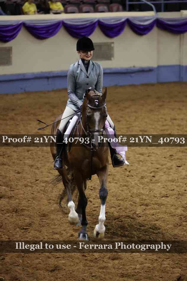 Proof Number 21YN_40793