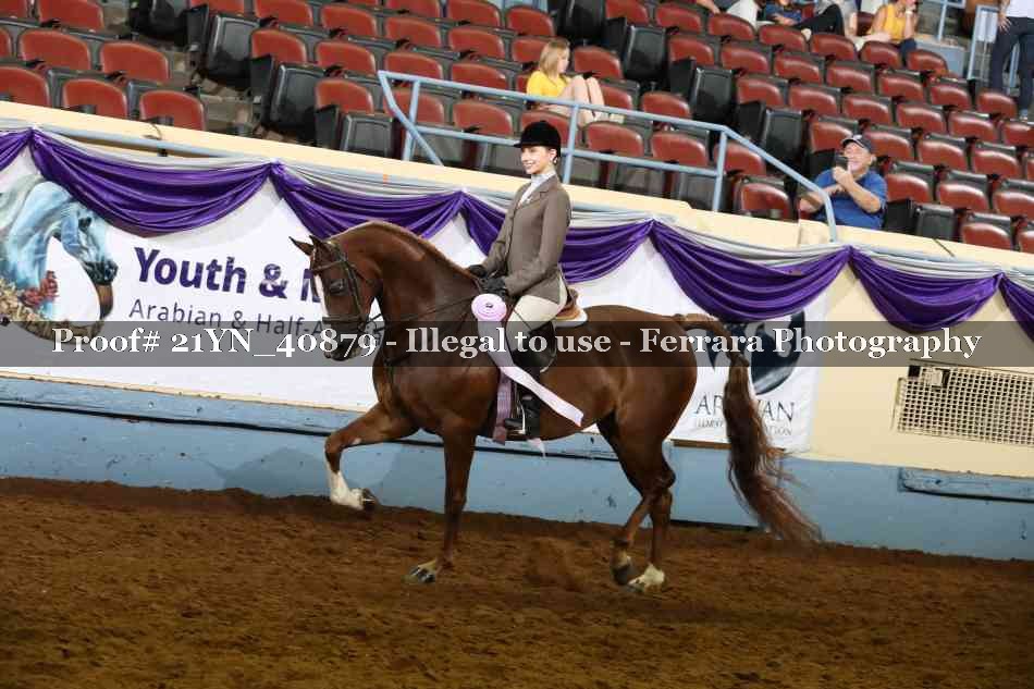 Proof Number 21YN_40879