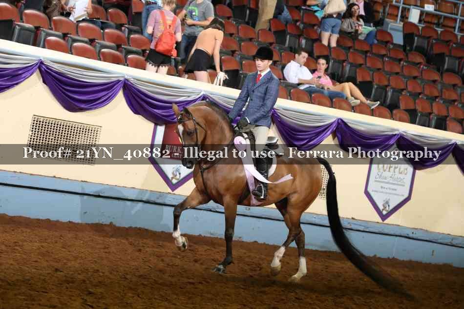 Proof Number 21YN_40882