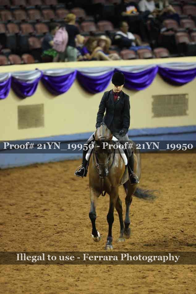 Proof Number 21YN_19950