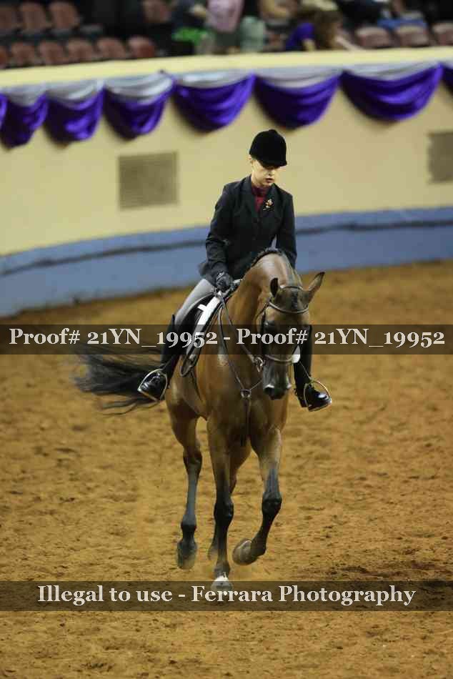 Proof Number 21YN_19952