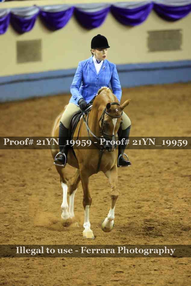 Proof Number 21YN_19959