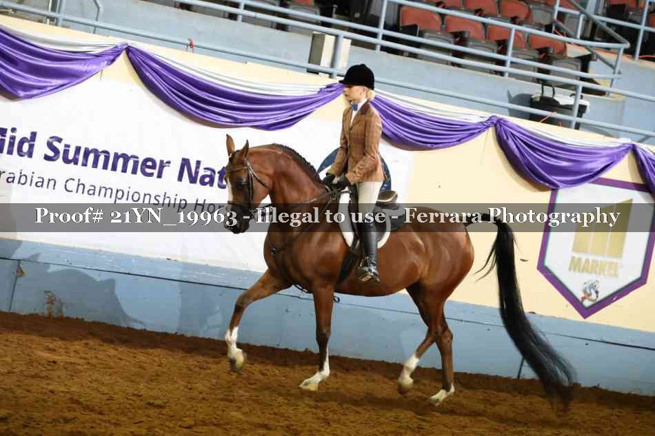 Proof Number 21YN_19963