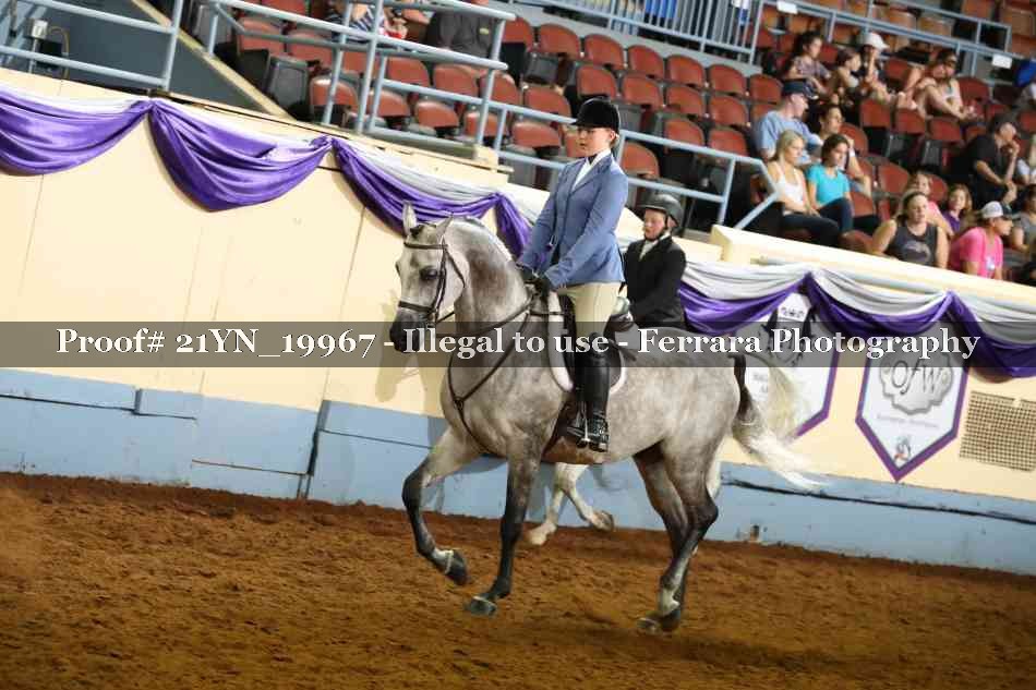 Proof Number 21YN_19967