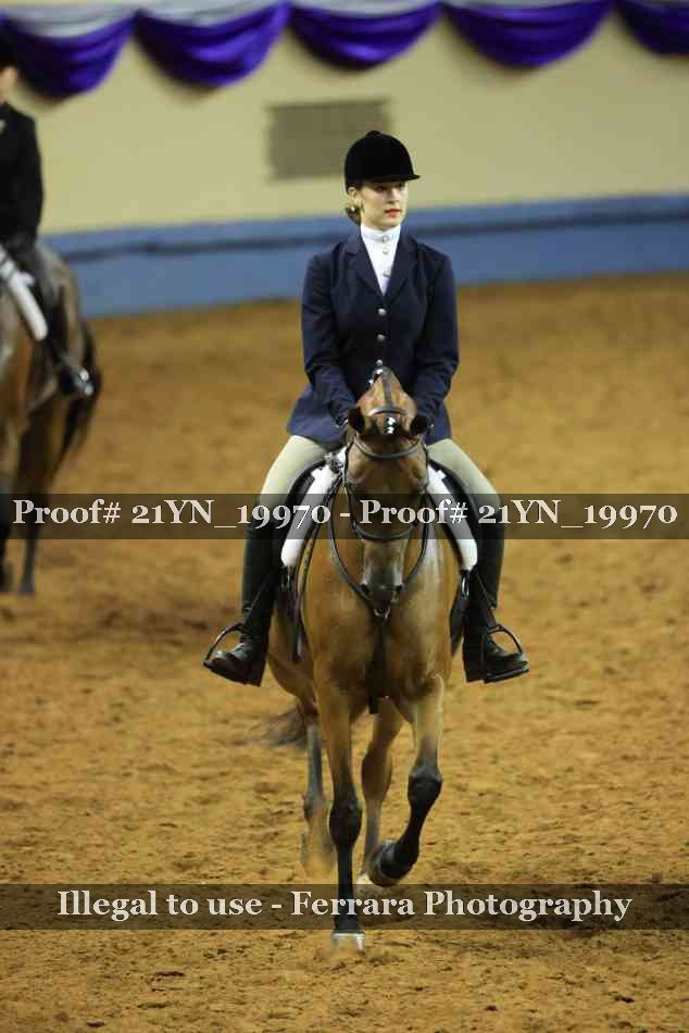 Proof Number 21YN_19970