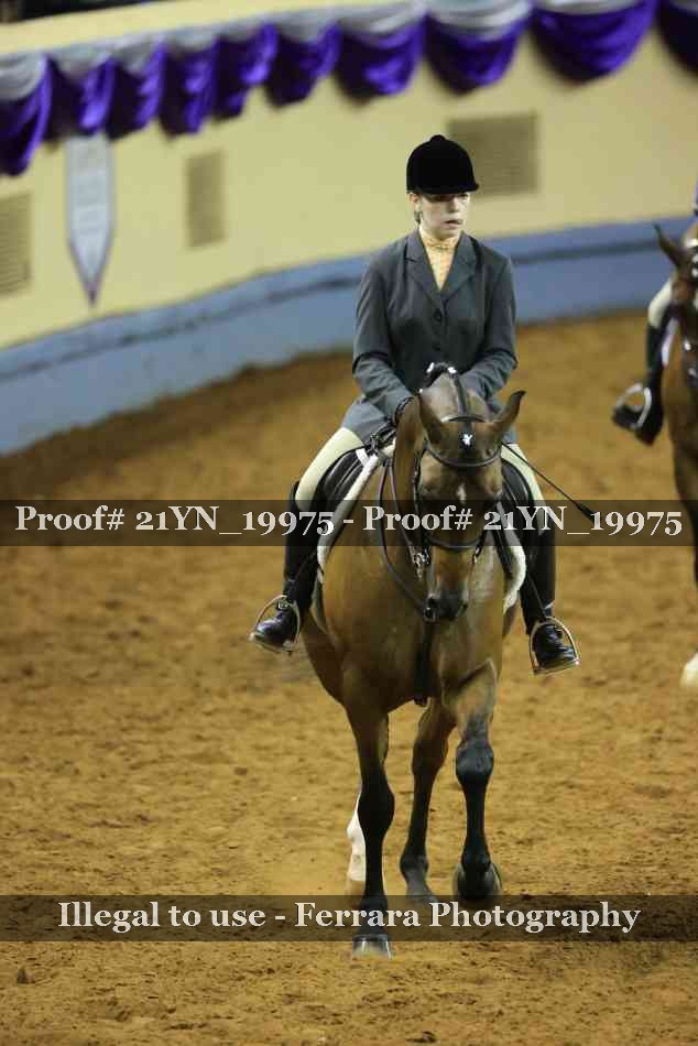 Proof Number 21YN_19975