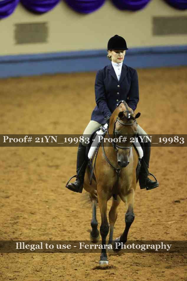 Proof Number 21YN_19983