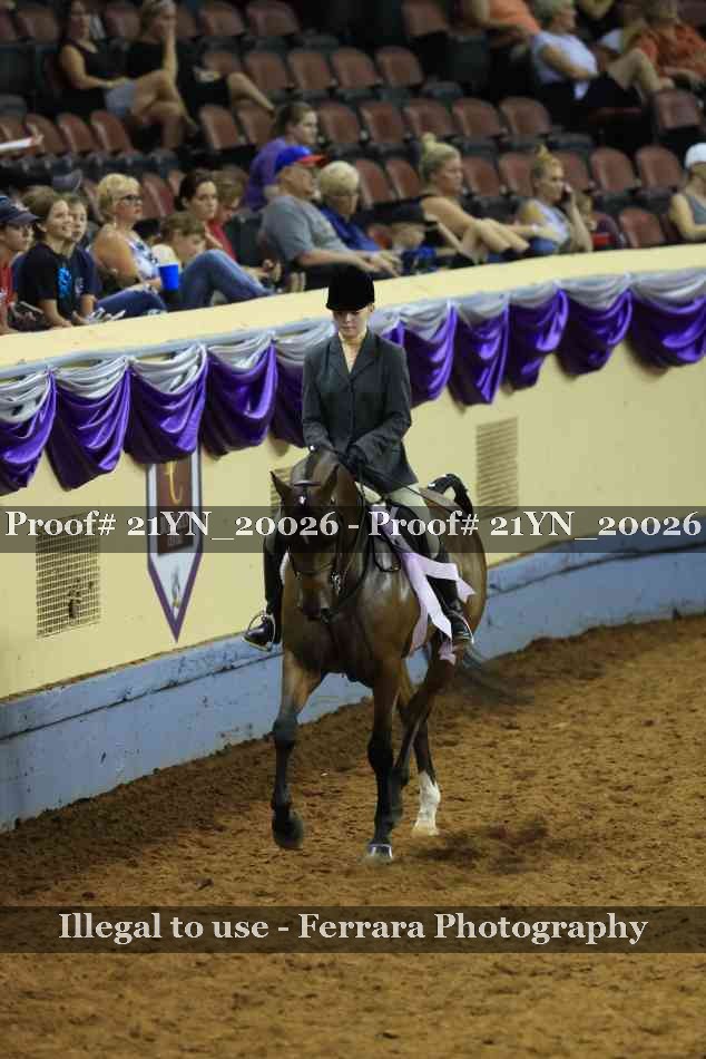 Proof Number 21YN_20026