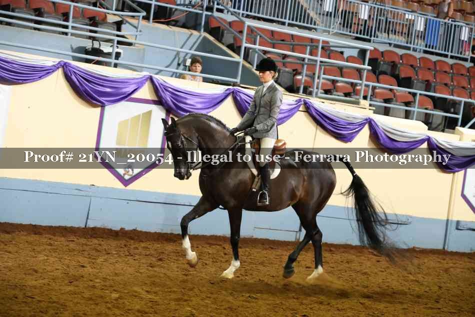 Proof Number 21YN_20054