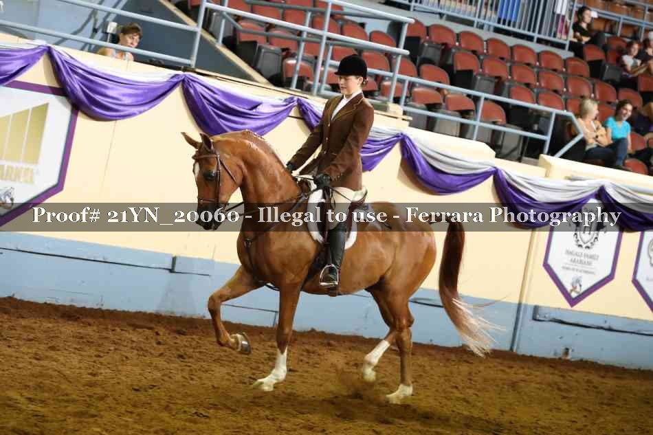 Proof Number 21YN_20060