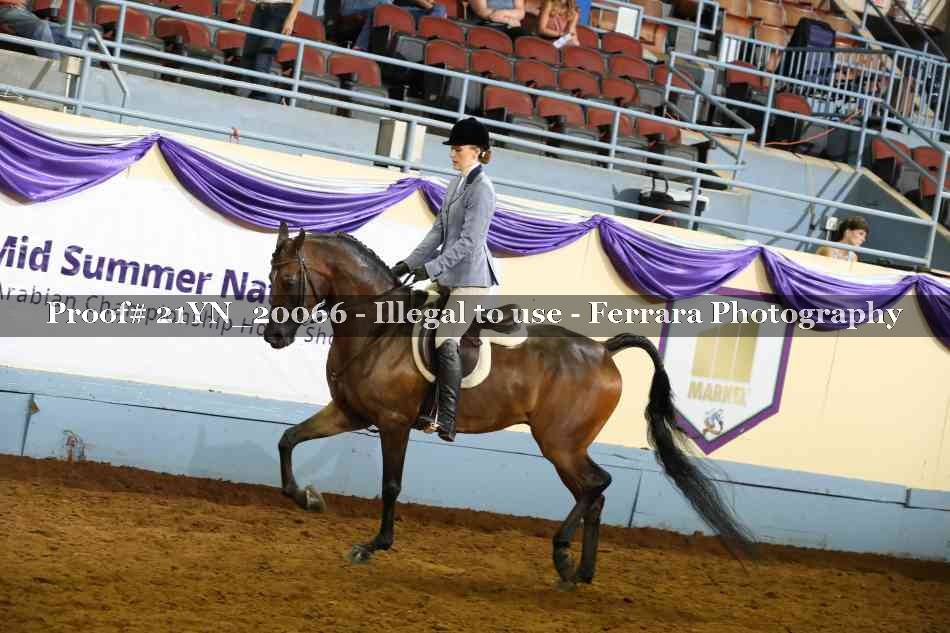 Proof Number 21YN_20066