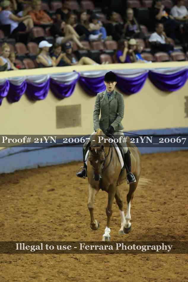 Proof Number 21YN_20067