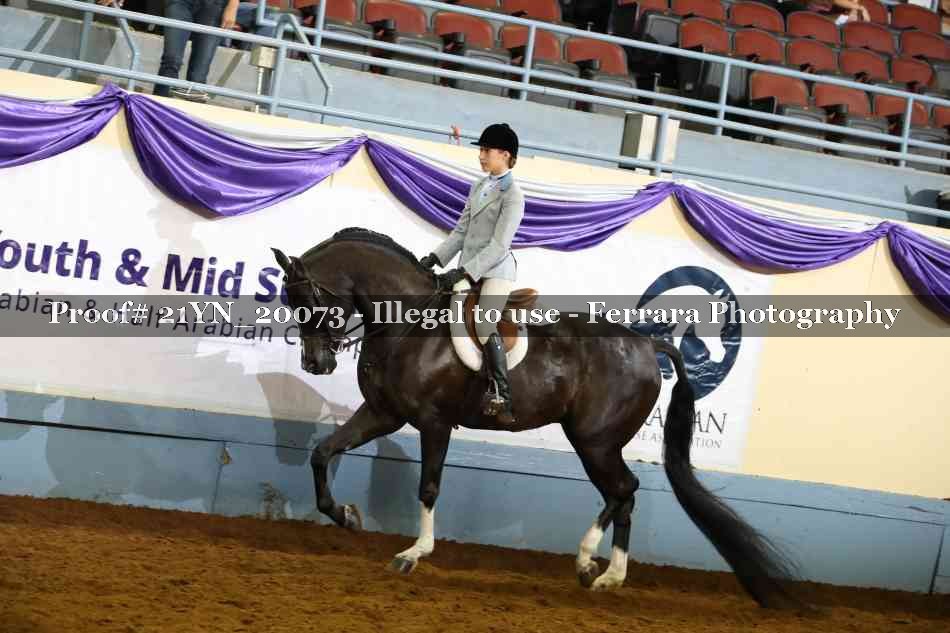 Proof Number 21YN_20073
