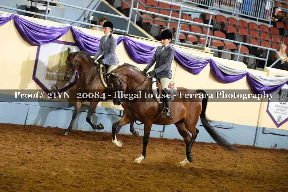 Proof Number 21YN_20084