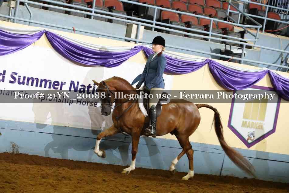 Proof Number 21YN_20088