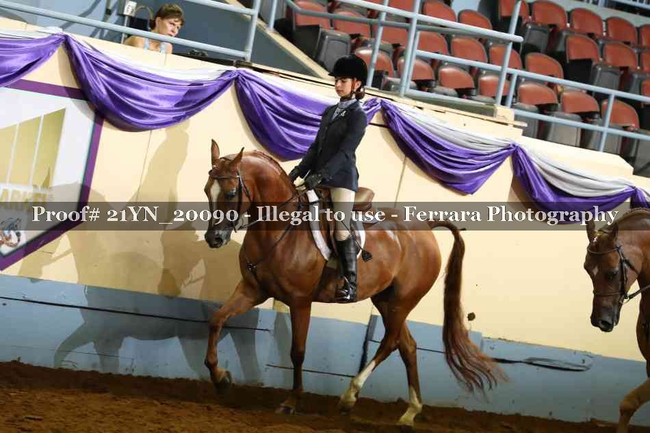 Proof Number 21YN_20090