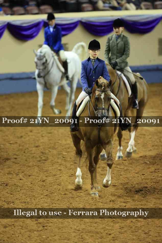 Proof Number 21YN_20091